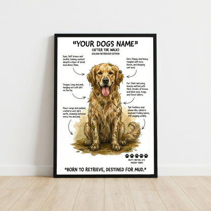 Golden Retriever - "After The Walk" Personalised Print