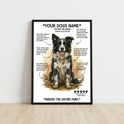 Border Collie - "After The Walk" Personalised Print