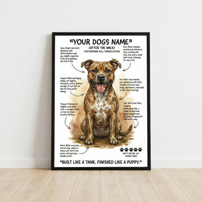 Staffordshire Bull Terrier - "After The Walk" Personalised Print