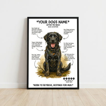 Black Labrador - "After The Walk" Personalised Print
