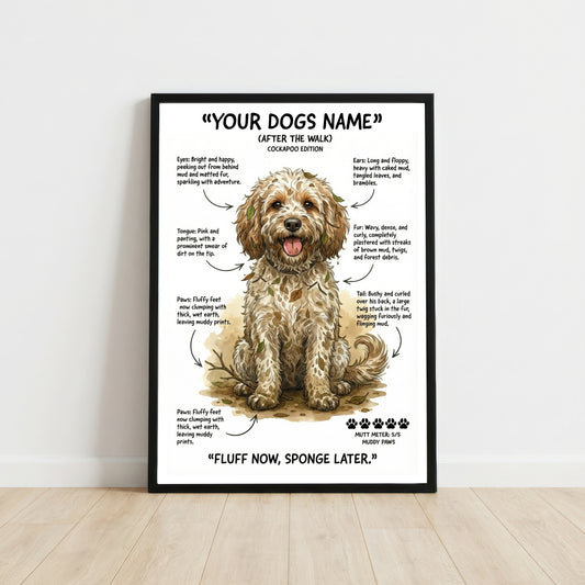 Cockapoo - "After The Walk" Personalised Print