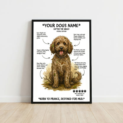 Poodle - "After The Walk" Personalised Print
