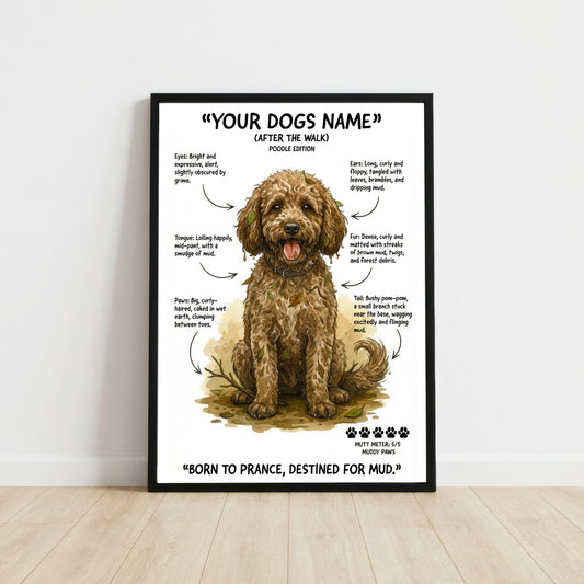 Poodle - "After The Walk" Personalised Print
