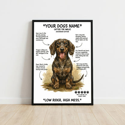 Dachshund  - "After The Walk" Personalised Print