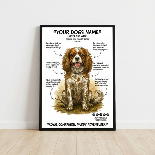 Cavalier King Charles Spaniel - "After The Walk" Personalised Print