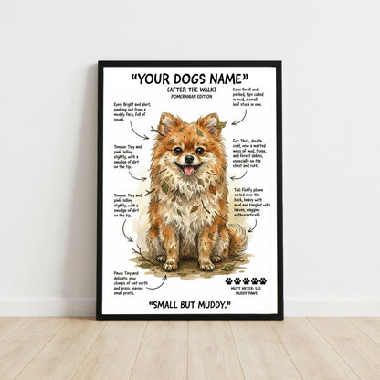 Pomeranian - "After The Walk" Personalised Print