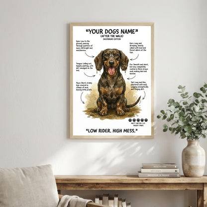 Dachshund  - "After The Walk" Personalised Print