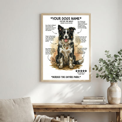 Border Collie - "After The Walk" Personalised Print
