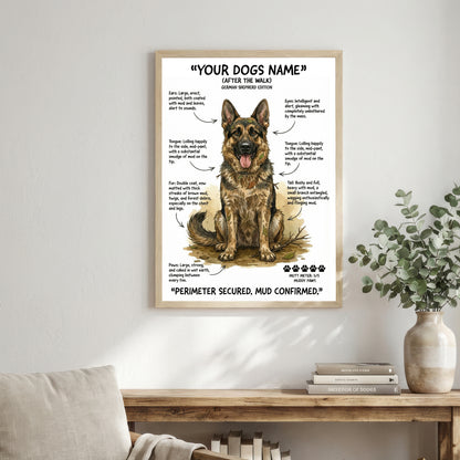 German Shepherd - "After The Walk" Personalised Print