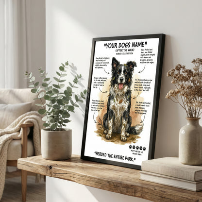 Border Collie - "After The Walk" Personalised Print