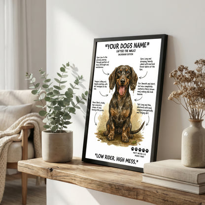 Dachshund  - "After The Walk" Personalised Print