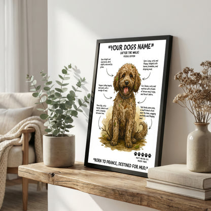 Poodle - "After The Walk" Personalised Print