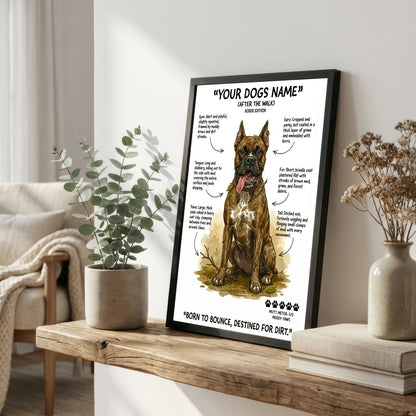 Boxer - "After The Walk" Personalised Print
