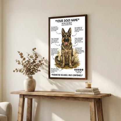 German Shepherd - "After The Walk" Personalised Print