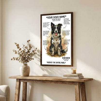 Border Collie - "After The Walk" Personalised Print