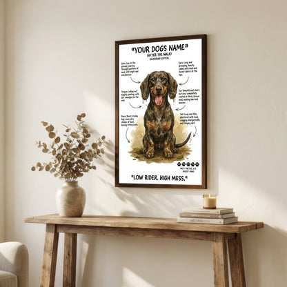 Dachshund  - "After The Walk" Personalised Print