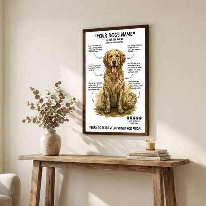 Golden Retriever - "After The Walk" Personalised Print