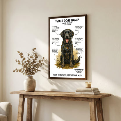 Black Labrador - "After The Walk" Personalised Print