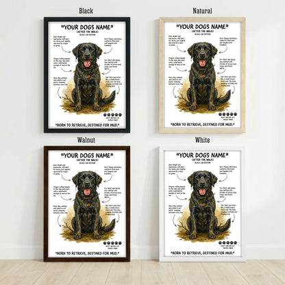 Black Labrador - "After The Walk" Personalised Print