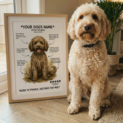 Poodle - "After The Walk" Personalised Print