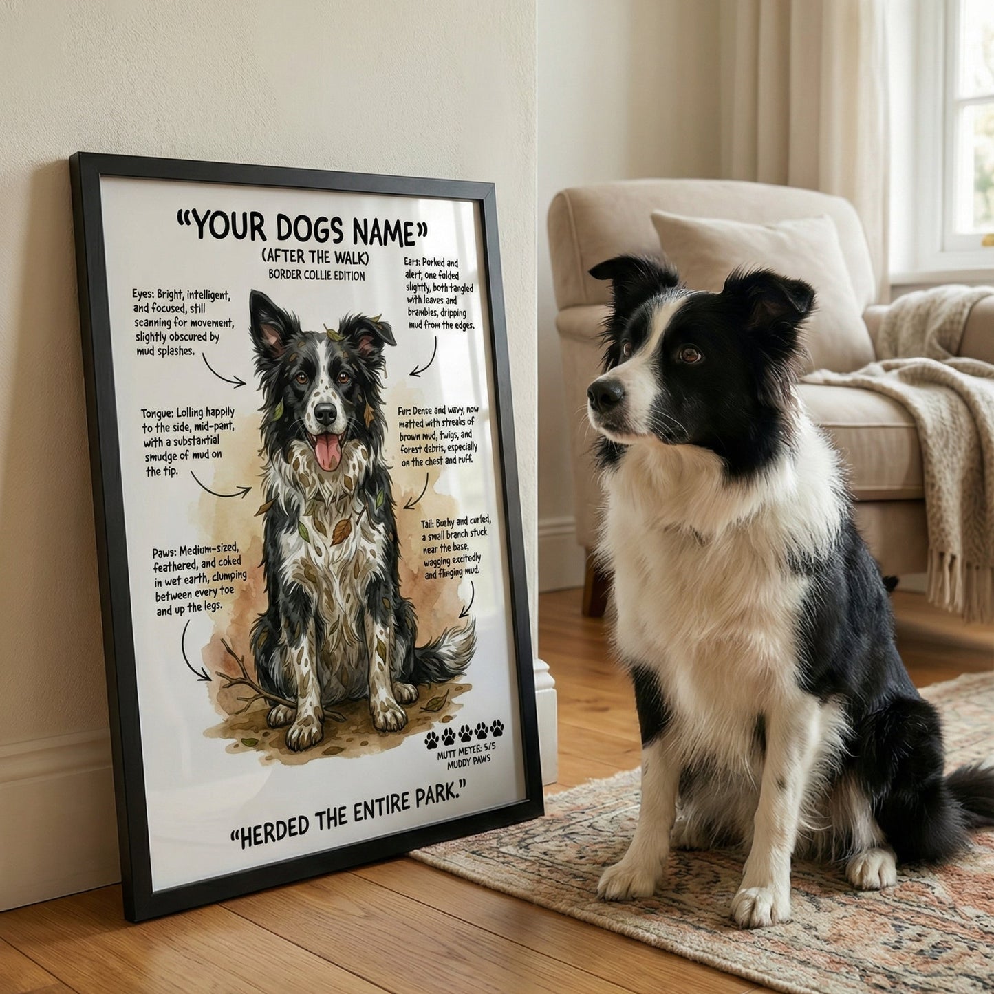 Border Collie - "After The Walk" Personalised Print
