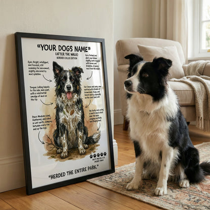 Border Collie - "After The Walk" Personalised Print