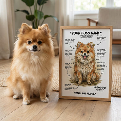 Pomeranian - "After The Walk" Personalised Print